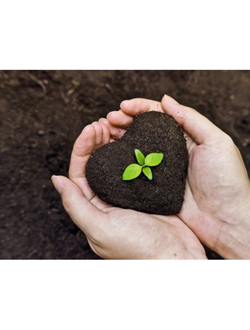 Органические удобрения