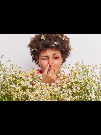 Гипоаллергенная программа