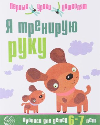 Я тренирую руку. Прописи 6-7 лет/Чистякова (Сфера)