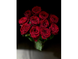 Роза Россия 50 см. 11 шт