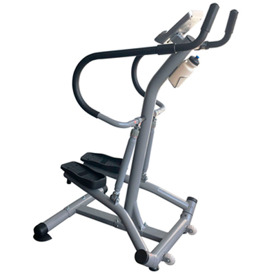 Степпер с поручнями DFC SC-S5901