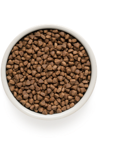 Grandorf (Грандорф) сухой корм для взрослых кошек Ягненок с индейкой, 400 г