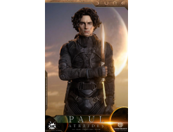 Пол Атрейдес (Тимоти Шаламе, "Дюна") - Коллекционная ФИГУРКА 1/6 scale Dune Paul Atreides (DL003) - AUG TOYS