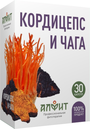 Концентрат на растительном сырье "Кордицепс и чага", 30 капсул по 470 мг