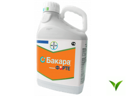 Бакара Форте КС 5 л