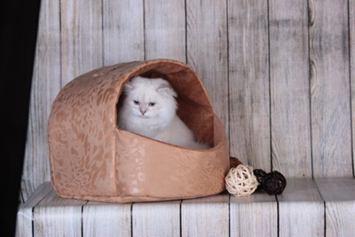 ДОМ СКАФАНДР