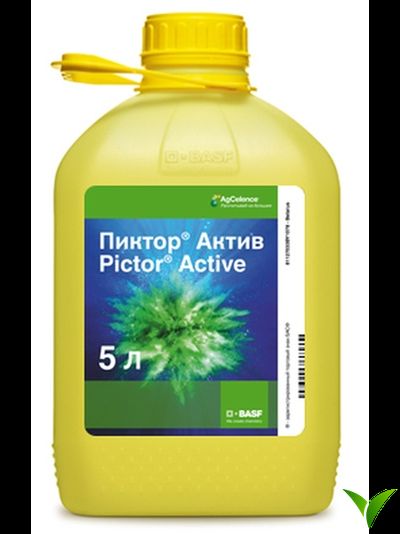 Пиктор Актив КС 5 л
