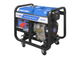 Дизель генератор 8,5 квт TSS SDG 9000EH3A