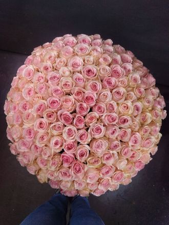 Букет из розовых роз, букет из роз в коробке, розовые розы в коробке, розы в коробке купить