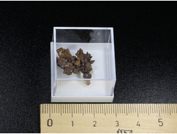 Медь самородная, дендрит в пластиковом боксе, Казахстан №22260