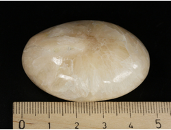 Стильбит, полировка, Индия (47*33*18 мм, 37 г) №35609