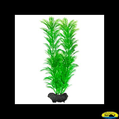 270534 Растение аквариумное Green Cabomba 3 (L) 30см с утяжелителем