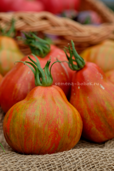 Томат Borsa di Montone (Баранья сумка), 10 шт.