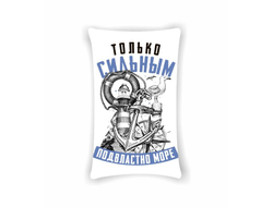 Подушка вертикальная #16 ВМФ России