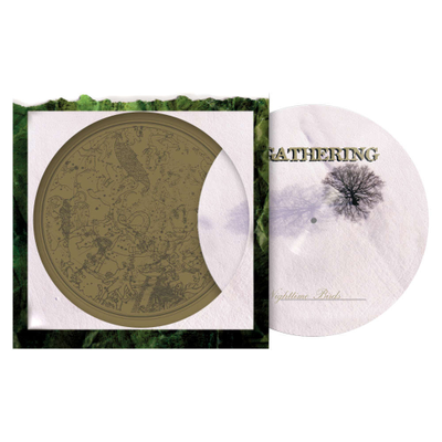 The Gathering - Nighttime Birds LP Picture