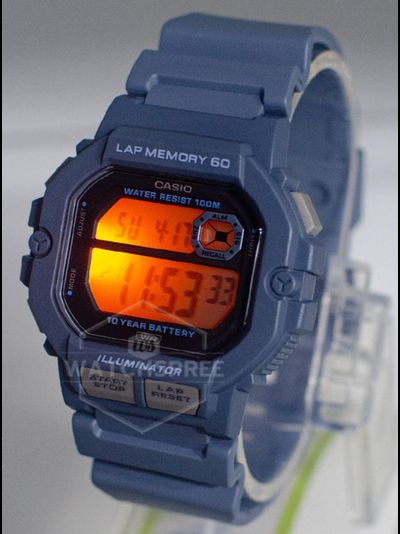 Часы Casio WS-1400H-2A