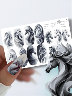 Слайдер-дизайн для ногтей LIKE-213