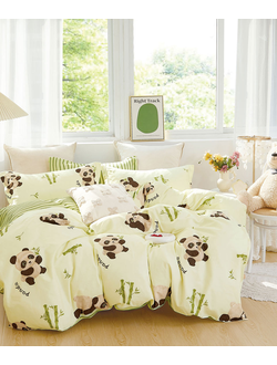 Постельное белье TANGO Twill комплект сатин евро 200x220x1 230x250x1 50x70x2 TPIG3-1822