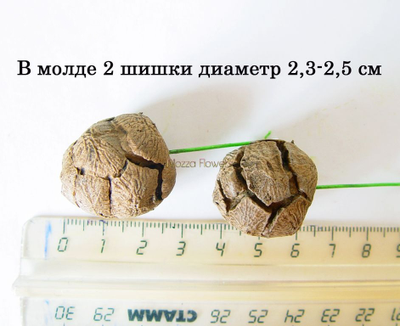 Набор молдов "Шишки"