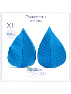 Пуансеттия, лист XL