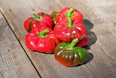 Перец сладкий Александр, 10 шт