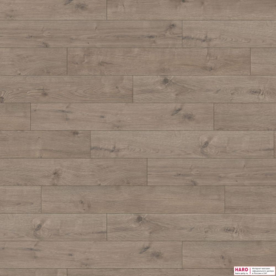 Ламинат Haro Tritty 100 Дуб Портлэнд Серый 533121 32 класс толщина 8 мм с фаской 1.98 м2