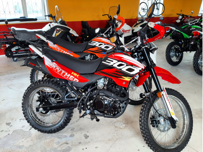 Racer Panther RC300-GY8X (2024)