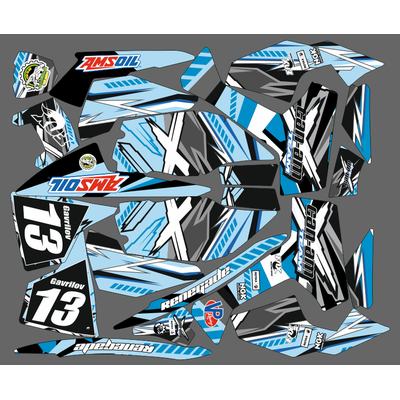 Can-am BPR Renegade #906