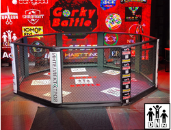 напольный ринг восьмиугольник