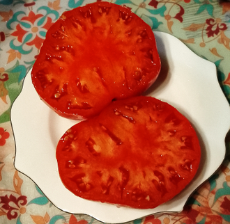 Семена томата Тёрки / *нов 2025