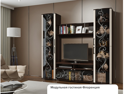 ГОСТИНАЯ ФЛОРЕНЦИЯ, 2200*2120*490