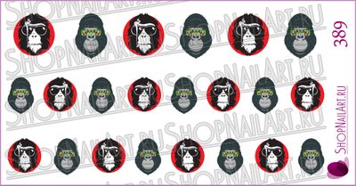 Слайдер-дизайн 389 - Стильные арты обезьян в очках