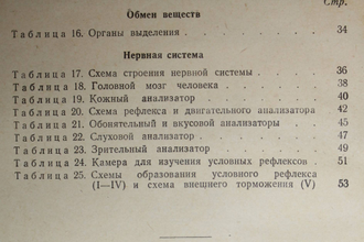 Кабанов А.Н., Беляев В.А. Таблицы по анатомии и физиологии человека. М.: Учпедгиз, 1956.