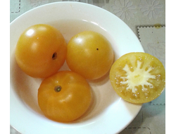 Семена томата Золотое сердце Гном