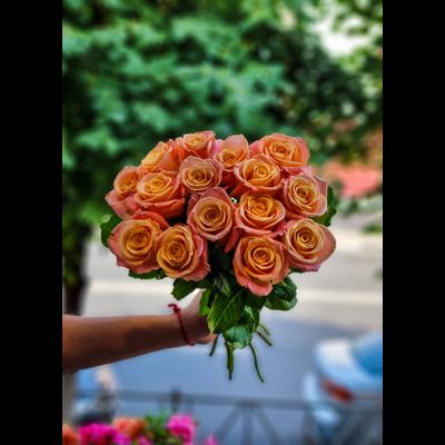 Роза Россия "Мисс пигги" 40 см 15 шт