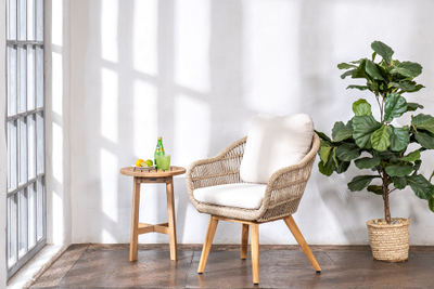 Кресло обеденное из тика Talara