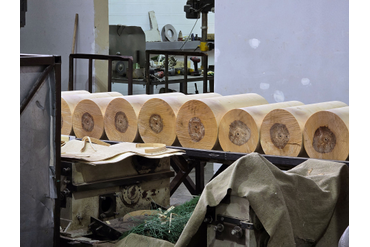 Процесс подготовки берёзового сырья