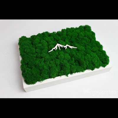 ЖИВАЯ ЭКО-КАРТИНА 1034