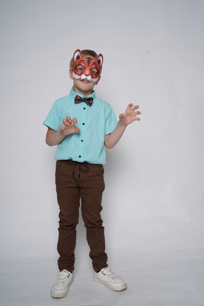 Кукольный театр. Маска "Тигр"