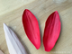 Молд «Лепестки тюльпана #7, крупные» (ELF_decor)