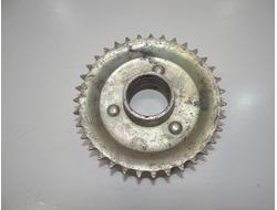 Ведомая звезда Рига 16