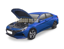 Амортизаторы капота 2 шт для Hyundai Elantra VII 2021-