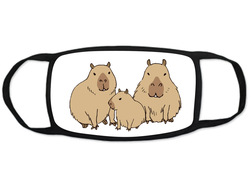 Тканевая маска на лицо Капибара, Kapibara-san №9