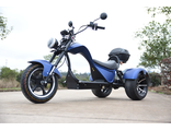 ЭЛЕКТРОСКУТЕР TRIKE CHOOPER SKYBOARD