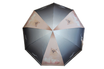 Зонт женский автоматический Кошки Pasio (сатин) , 6 видов