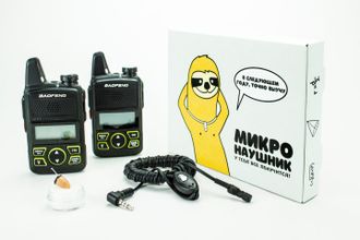 Микронаушник рация (Radio + mini)