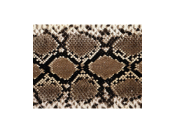 Изделия из кожи питона - Интернет Магазин из Тайланда "OrganicThai"