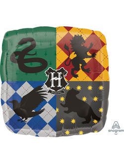 Квадрат, Гарри Поттер, Хогвартс