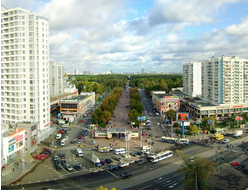 Сокольники