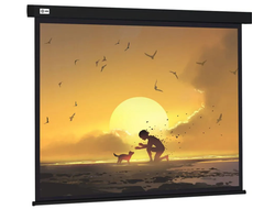 Экран Cactus CS-PSW-150X150-BK Wallscreen